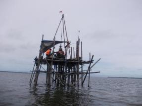 2016 Topographic, Bathmetric-Oceanography Survey and Geotechnical Investigation For Jambi Mine Mouth CFPP Tarakan 2×100 MW Kalbar-2 2×100 MW Tambak Lorok CFPP