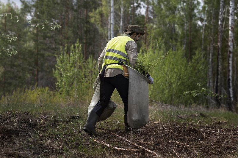 Bagaimana Uji Standard Penetration Test Dilakukan?